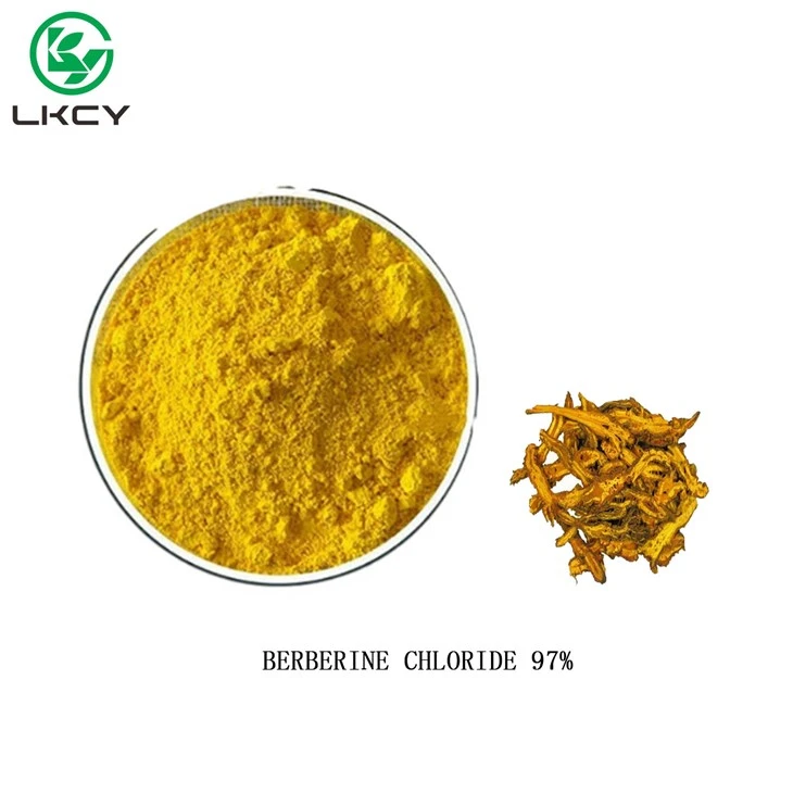 BERBERINE CHLORIDE 97% BERBERINE CHLORIDE 97%